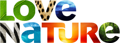 Love_Nature_TV.png.8903a524e8c11894fcadbff9a190a36e.png