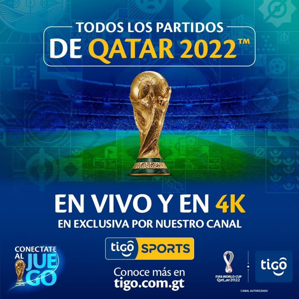 20220719_184517.thumb.jpg.dfbdb1c95cf842a843d591136a4dcc6c.jpg