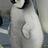 PingoDaPinguin